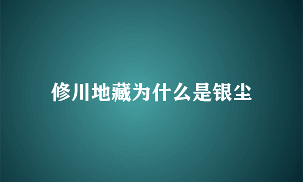 修川地藏为什么是银尘