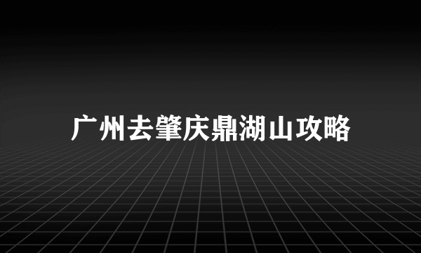 广州去肇庆鼎湖山攻略