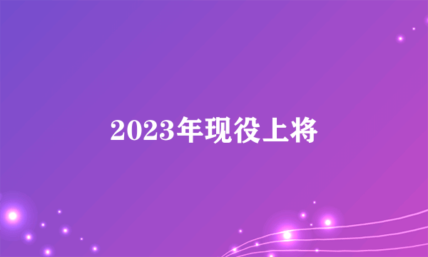 2023年现役上将