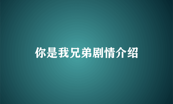 你是我兄弟剧情介绍