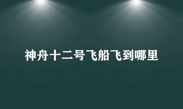 神舟十二号飞船飞到哪里