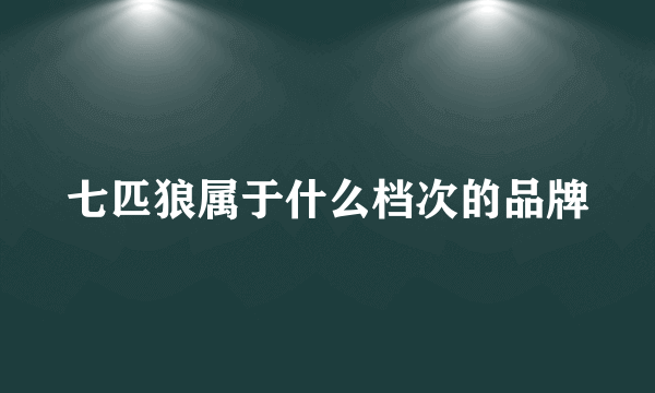 七匹狼属于什么档次的品牌