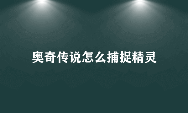 奥奇传说怎么捕捉精灵