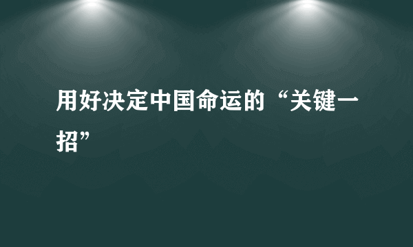 用好决定中国命运的“关键一招”