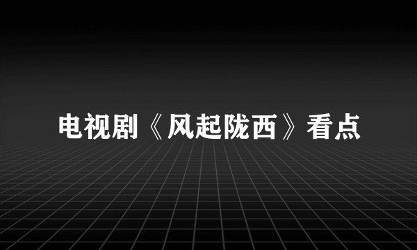 电视剧《风起陇西》看点