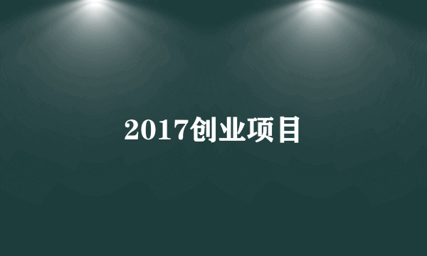 2017创业项目