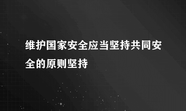 维护国家安全应当坚持共同安全的原则坚持