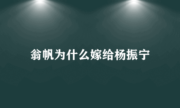 翁帆为什么嫁给杨振宁