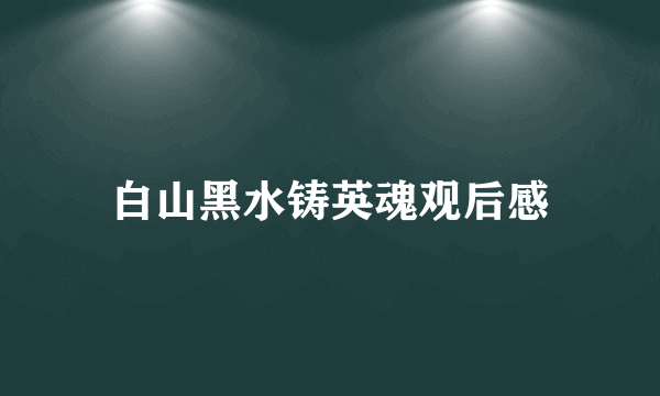 白山黑水铸英魂观后感