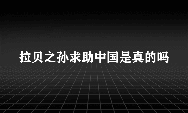 拉贝之孙求助中国是真的吗