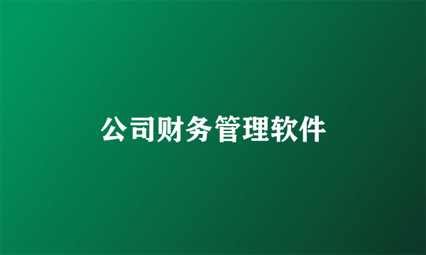 公司财务管理软件