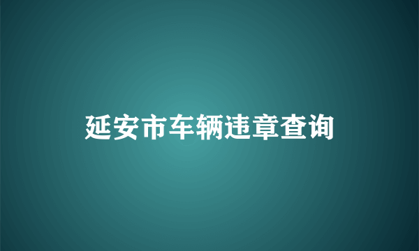 延安市车辆违章查询