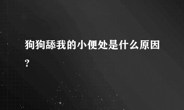 狗狗舔我的小便处是什么原因?