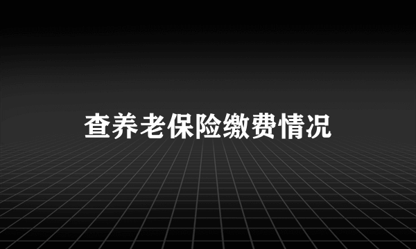 查养老保险缴费情况