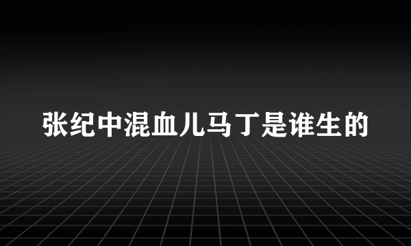 张纪中混血儿马丁是谁生的