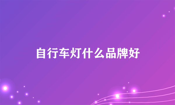 自行车灯什么品牌好