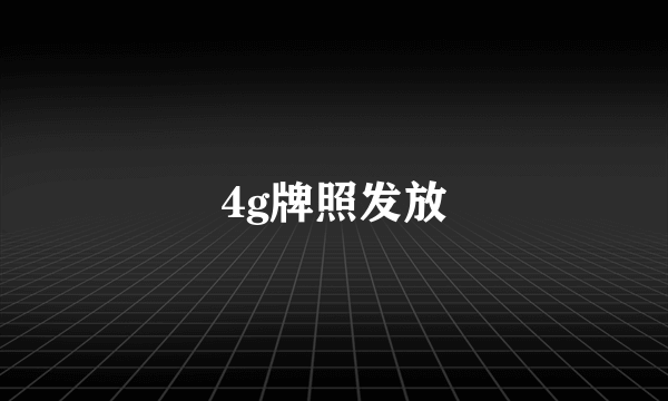 4g牌照发放