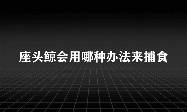 座头鲸会用哪种办法来捕食