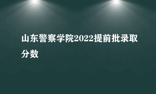 山东警察学院2022提前批录取分数