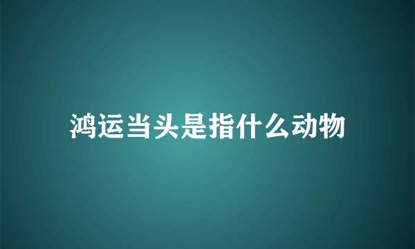 鸿运当头是指什么动物