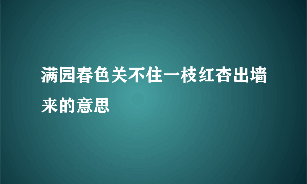 满园春色关不住一枝红杏出墙来的意思