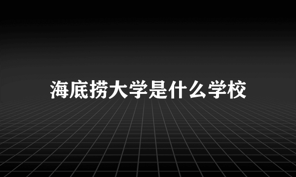 海底捞大学是什么学校