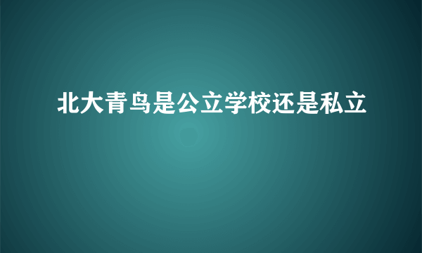 北大青鸟是公立学校还是私立