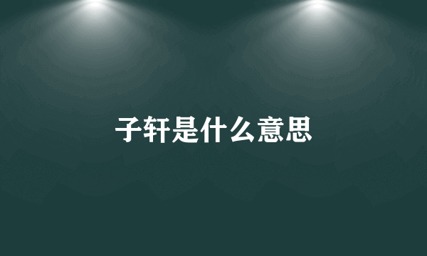 子轩是什么意思