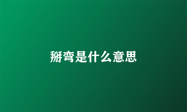 掰弯是什么意思