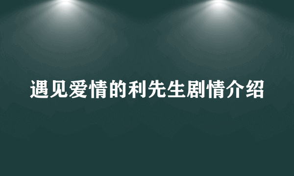 遇见爱情的利先生剧情介绍