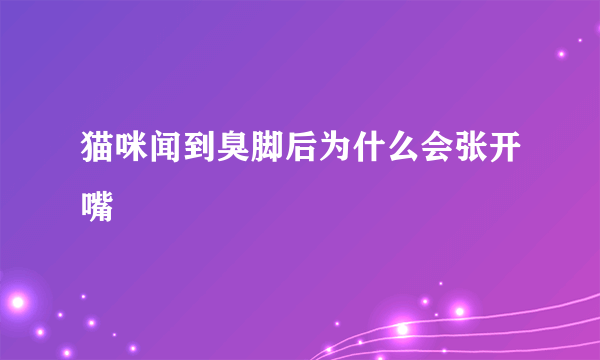 猫咪闻到臭脚后为什么会张开嘴