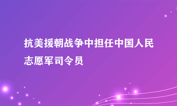 抗美援朝战争中担任中国人民志愿军司令员