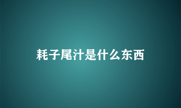 耗子尾汁是什么东西