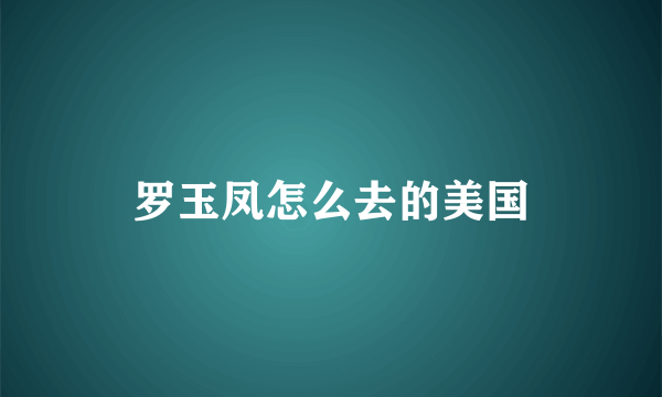 罗玉凤怎么去的美国