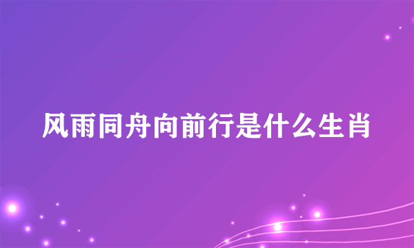 风雨同舟向前行是什么生肖