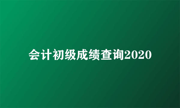 会计初级成绩查询2020