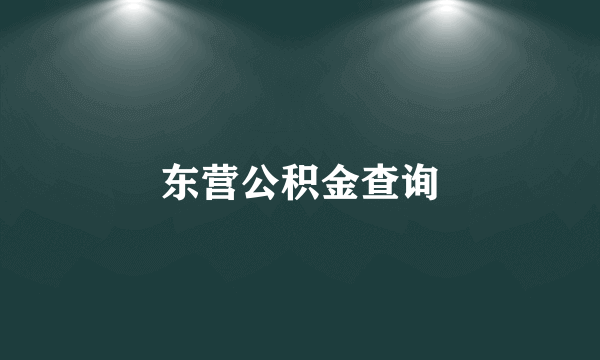 东营公积金查询