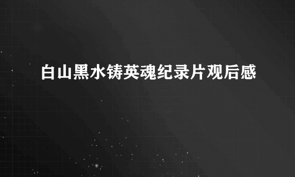 白山黑水铸英魂纪录片观后感