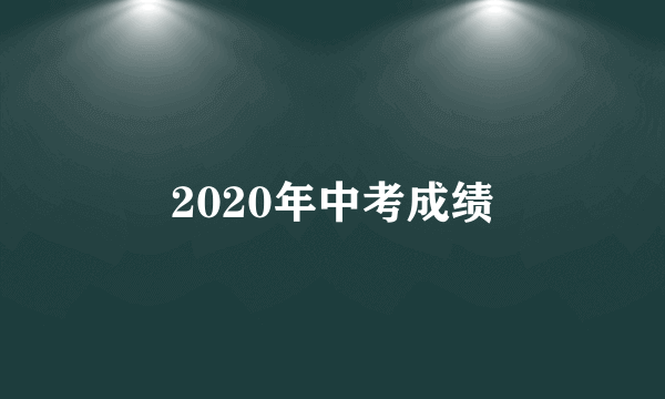 2020年中考成绩