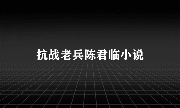 抗战老兵陈君临小说