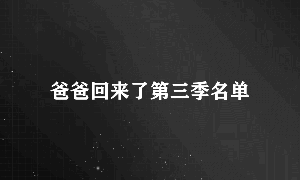 爸爸回来了第三季名单