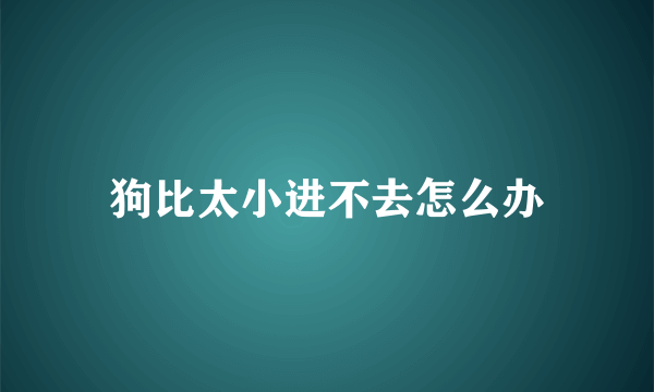 狗比太小进不去怎么办