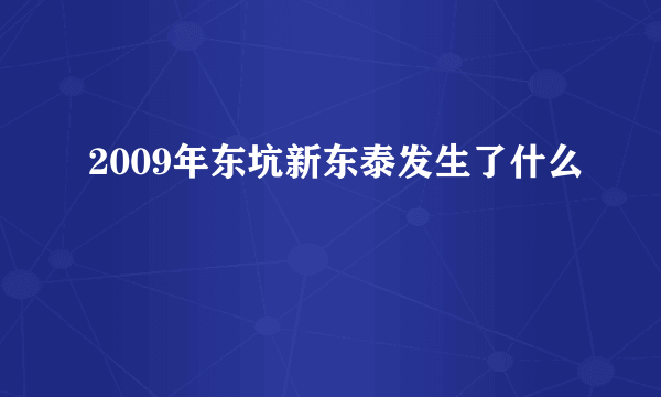 2009年东坑新东泰发生了什么