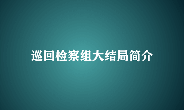 巡回检察组大结局简介