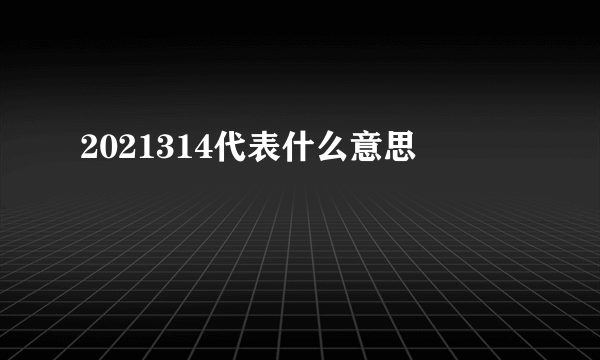 2021314代表什么意思