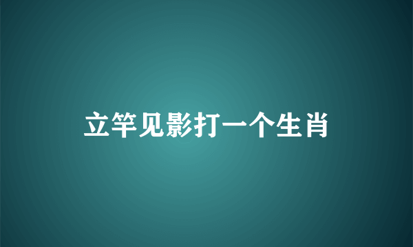 立竿见影打一个生肖