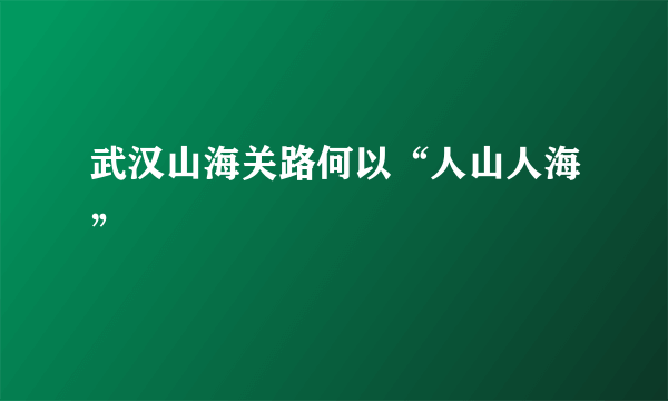 武汉山海关路何以“人山人海”