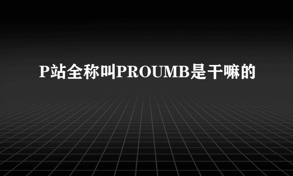 P站全称叫PROUMB是干嘛的