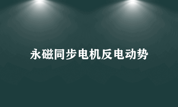 永磁同步电机反电动势