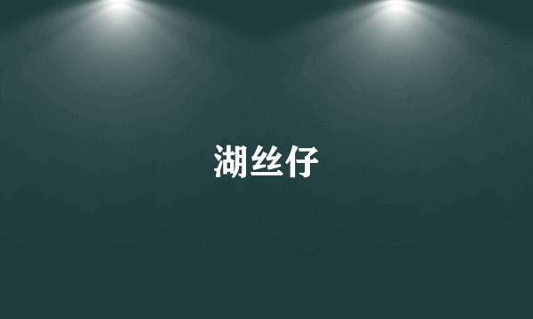 湖丝仔